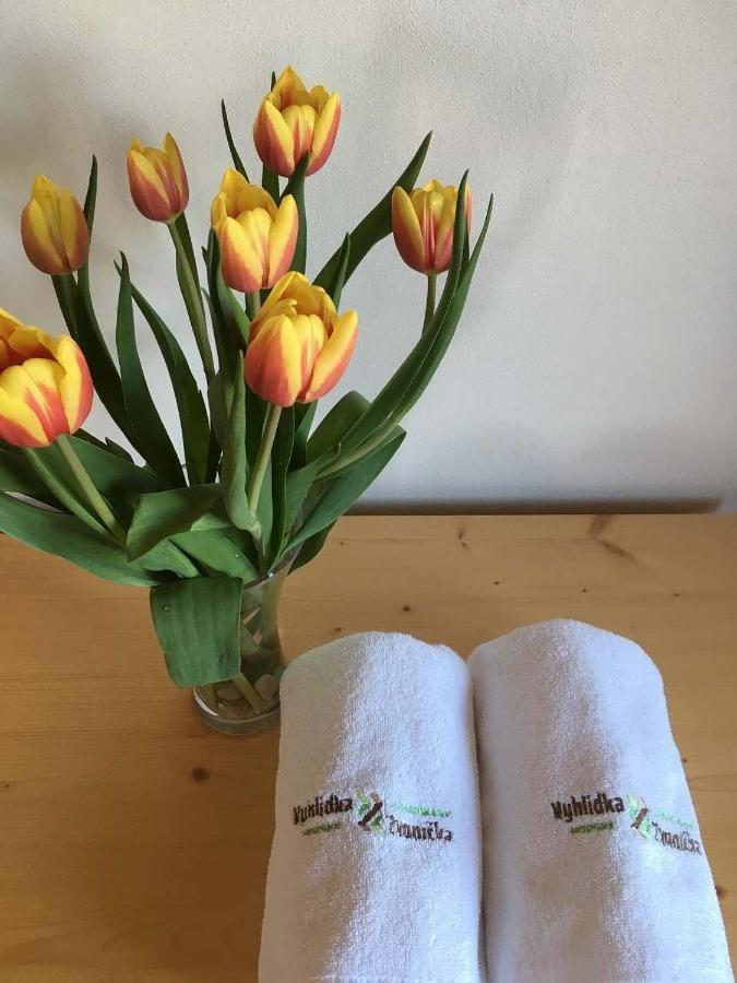 Horsky Apartman Vyhlidka Rejviz Zlaté Hory エクステリア 写真